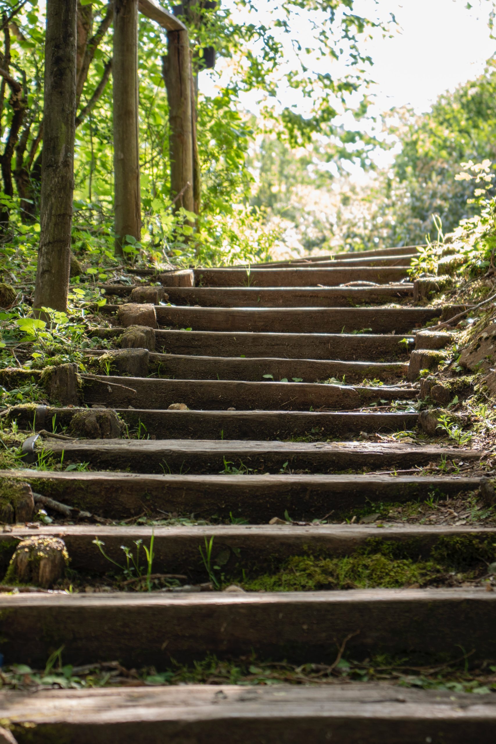 You are currently viewing Staircase Design’s Impact on Home Resale Value